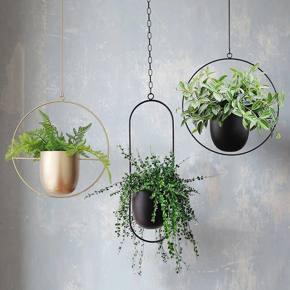 Pots & Planters