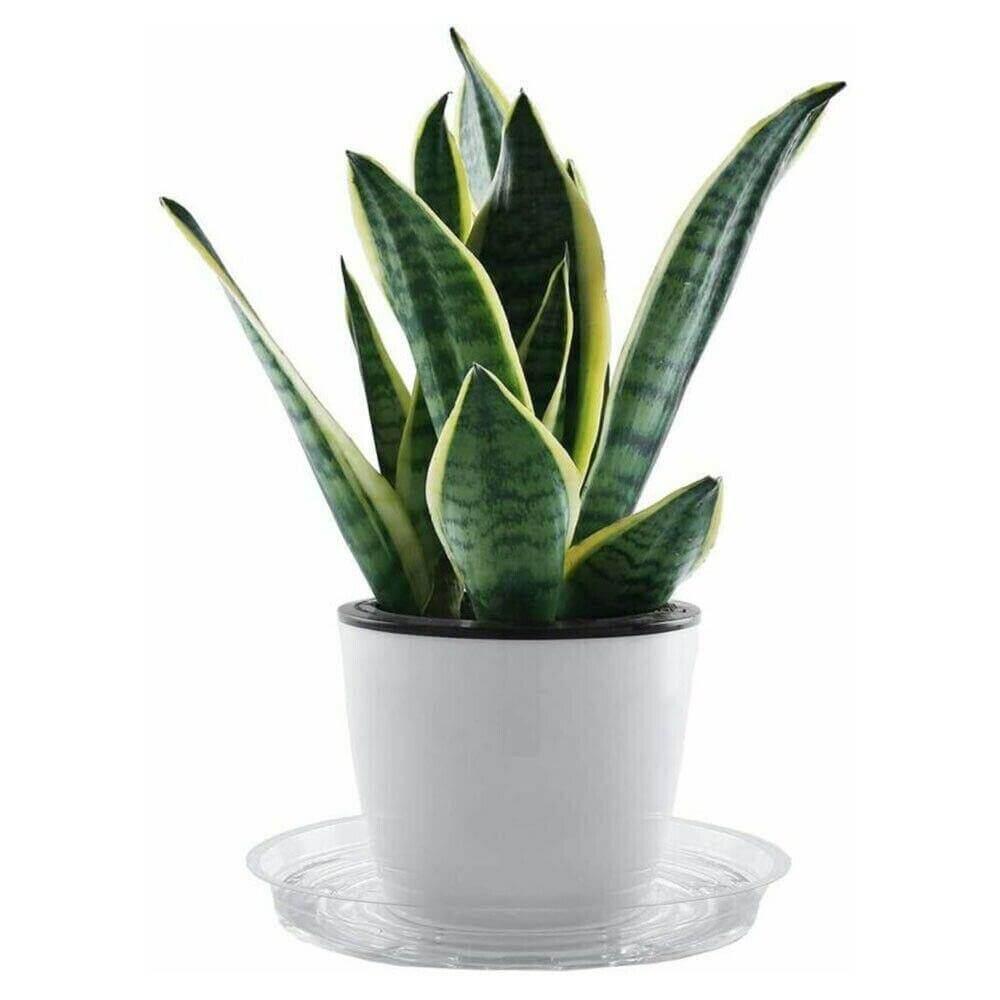 10-Piece Clear Plastic Planter Saucer Set