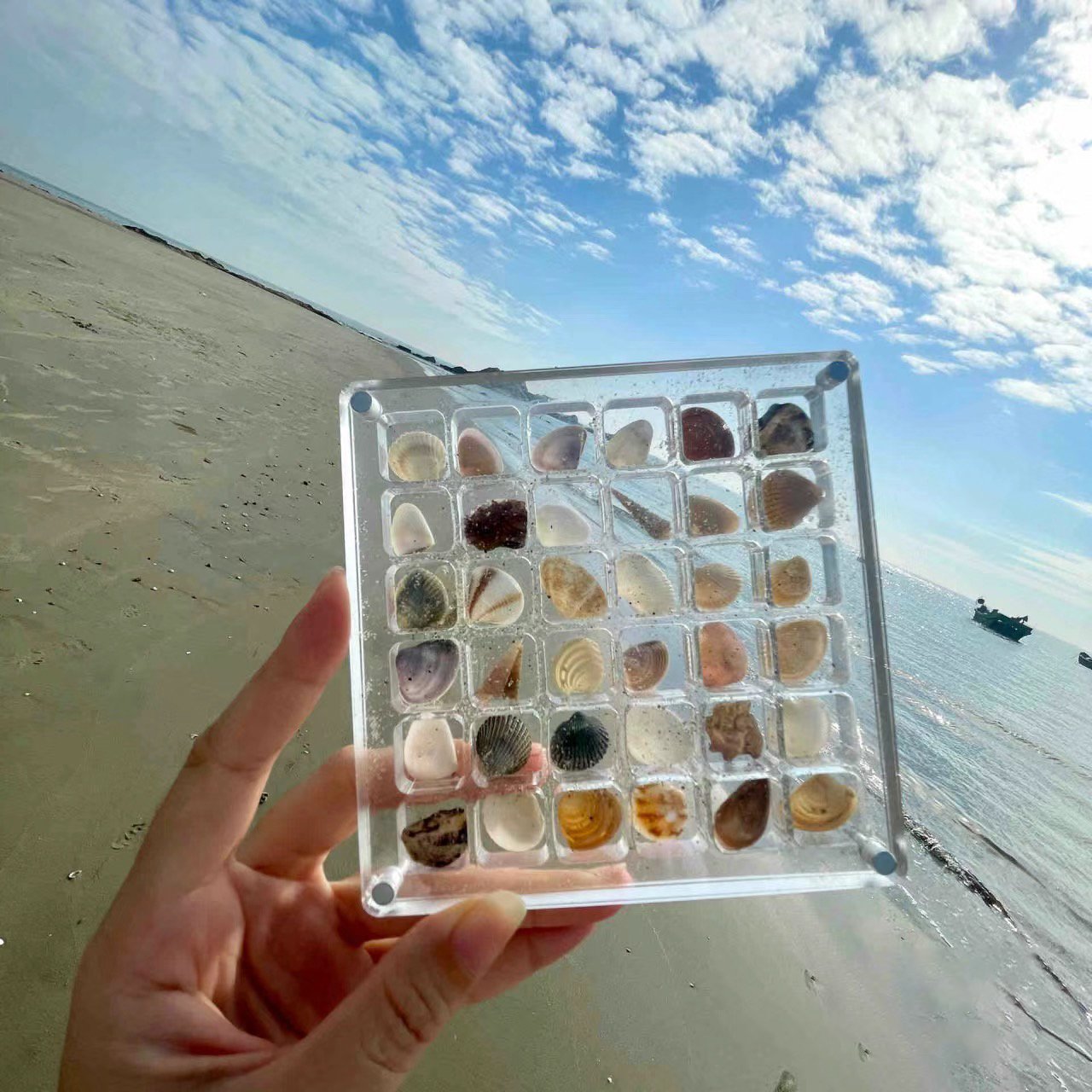 ❤️LAST DAY 50%OFF -Acrylic Magnetic Seashell Display Box