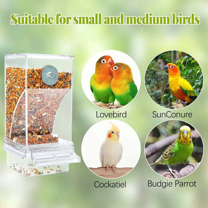 Automatic No-Spill Transparent Bird Feeder