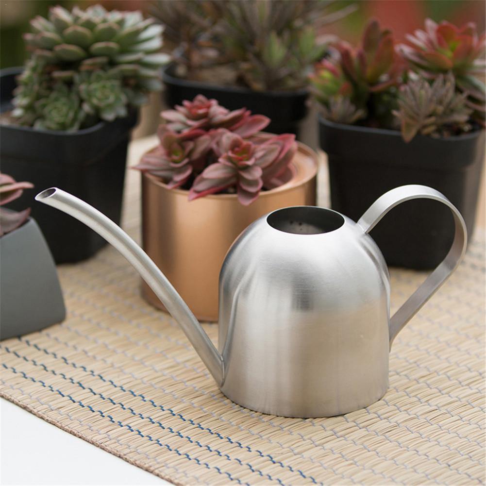 Gooseneck Dome Stainless Steel Watering Can