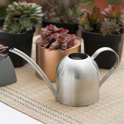 Gooseneck Dome Stainless Steel Watering Can