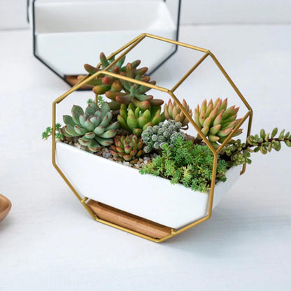 Geometric Ceramic Wall Planter with Octagonal Iron Frame