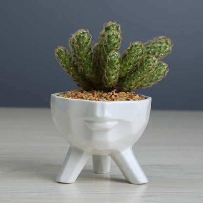 2-Piece White Ceramic Face Succulent Planters