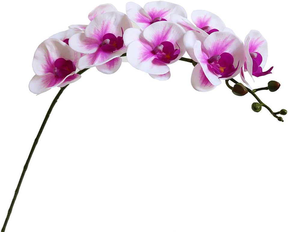 Artificial Phalaenopsis Flowers Branches Real Touch Pack of 2