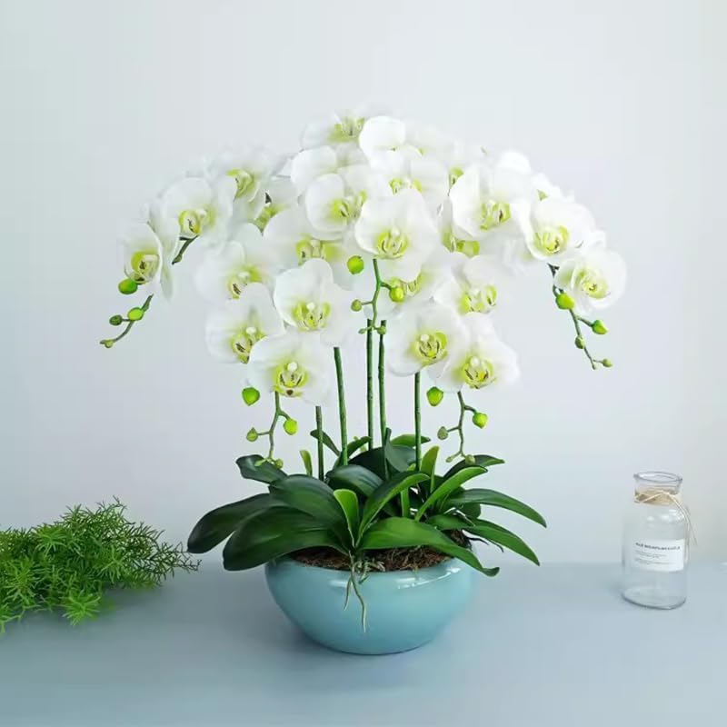 Artificial Phalaenopsis Flowers Branches Real Touch Pack of 2