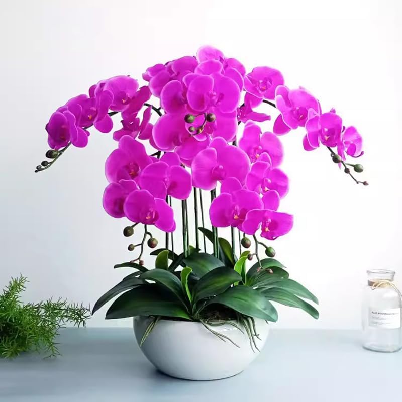 Artificial Phalaenopsis Flowers Branches Real Touch Pack of 2