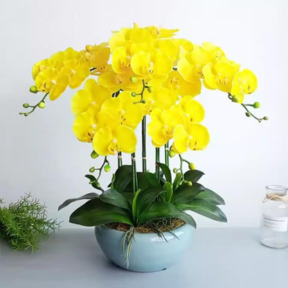 Artificial Phalaenopsis Flowers Branches Real Touch Pack of 2