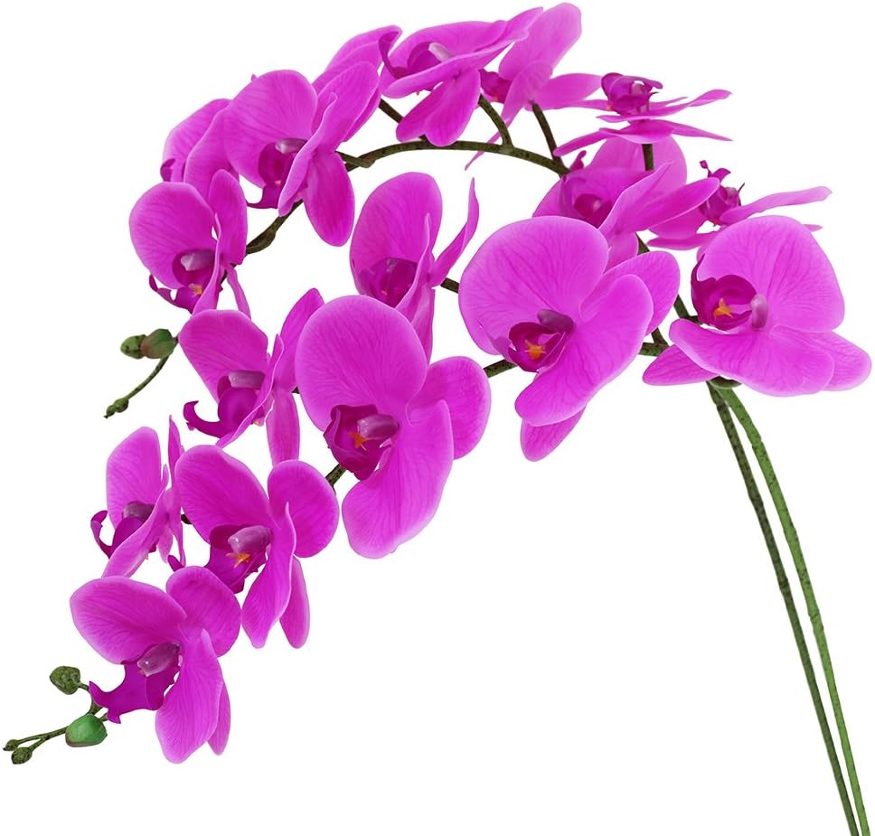 Artificial Phalaenopsis Flowers Branches Real Touch Pack of 2