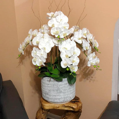 Artificial Phalaenopsis Flowers Branches Real Touch Pack of 2