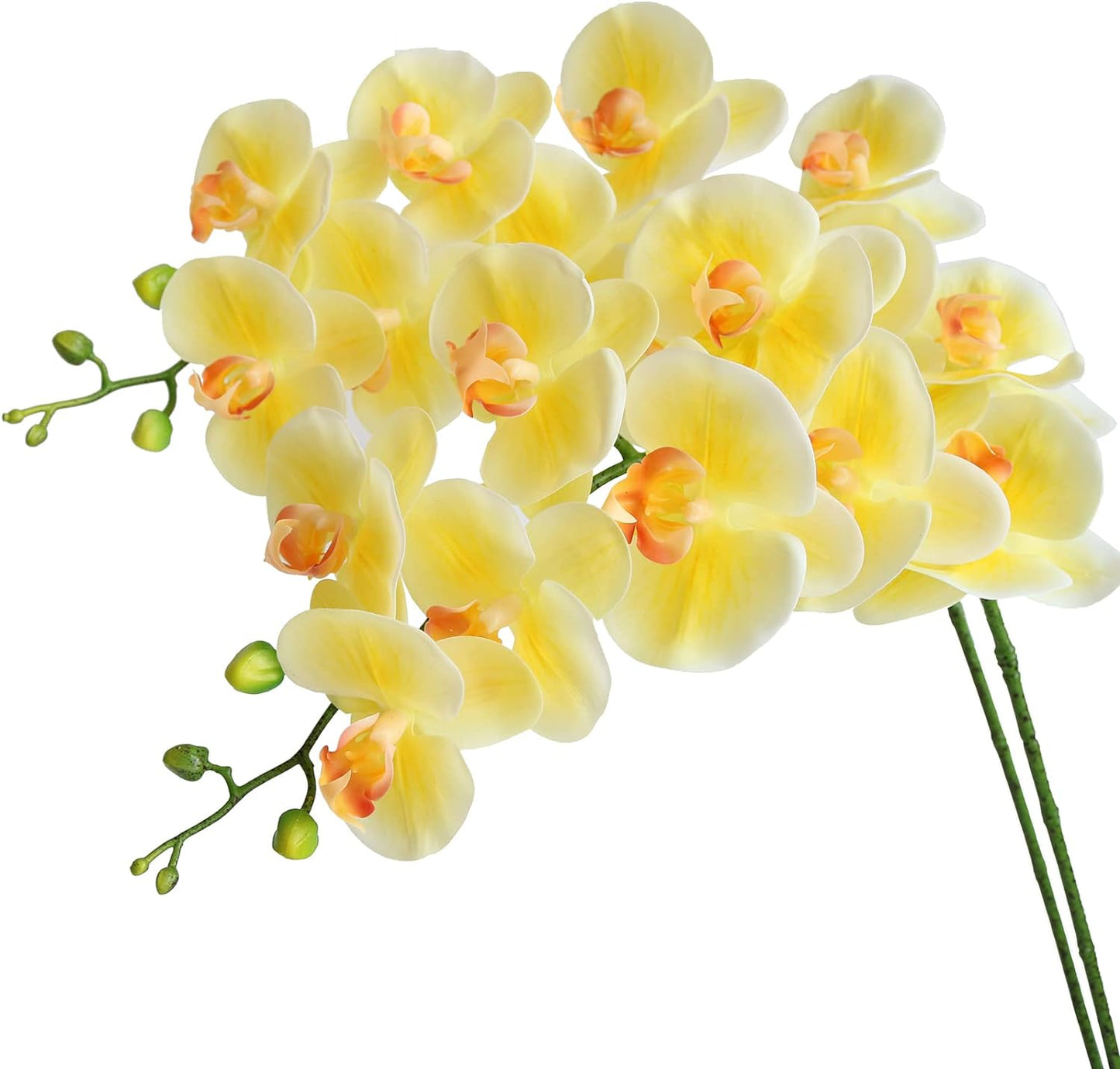 Artificial Phalaenopsis Flowers Branches Real Touch Pack of 2