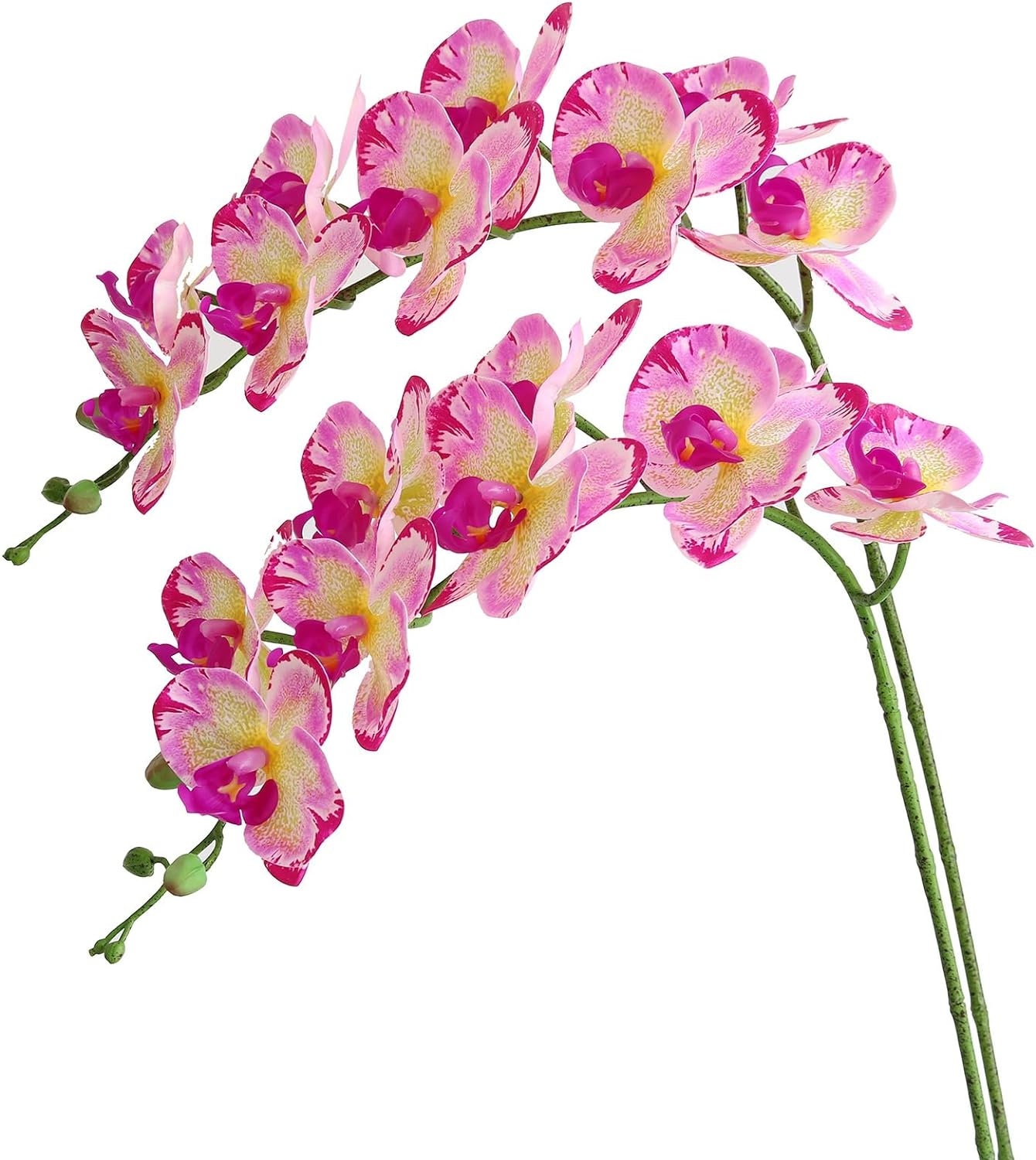 Artificial Phalaenopsis Flowers Branches Real Touch Pack of 2