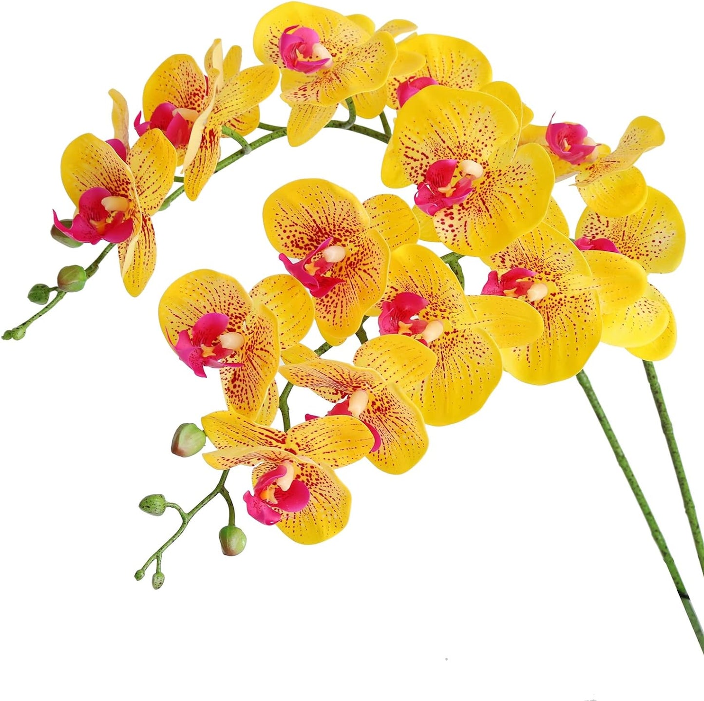 Artificial Phalaenopsis Flowers Branches Real Touch Pack of 2