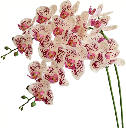 Artificial Phalaenopsis Flowers Branches Real Touch Pack of 2