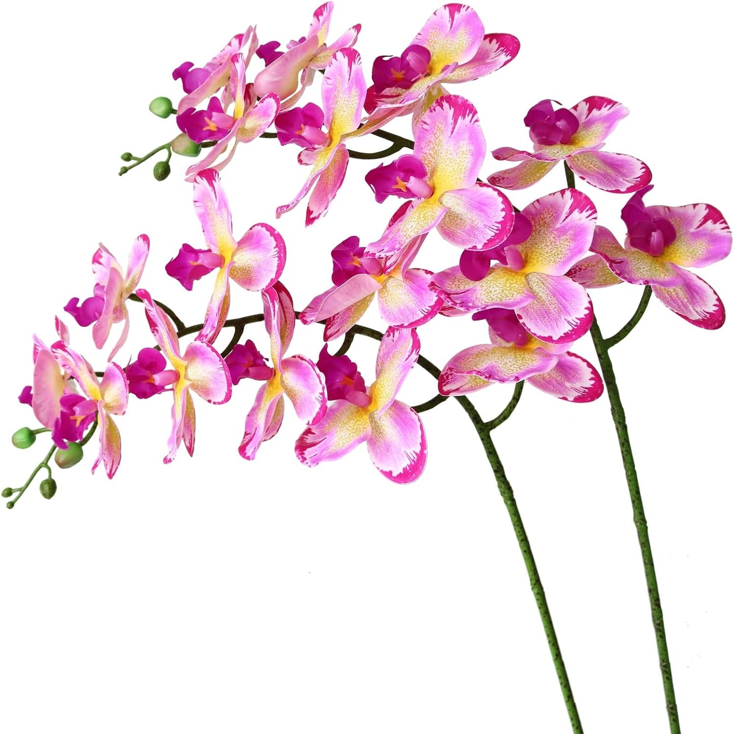 Artificial Phalaenopsis Flowers Branches Real Touch Pack of 2