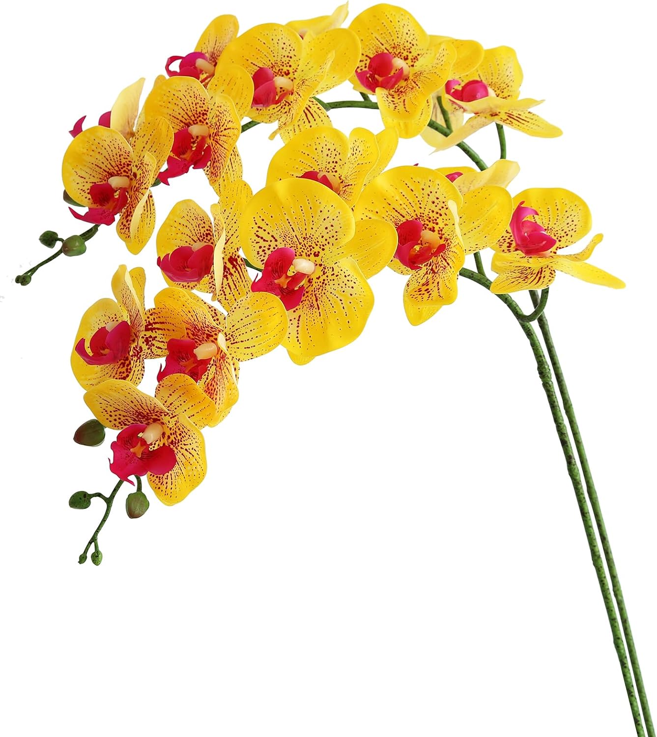 Artificial Phalaenopsis Flowers Branches Real Touch Pack of 2