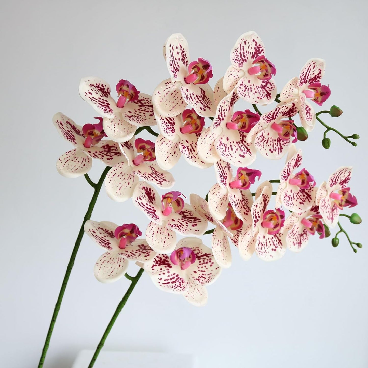 Artificial Phalaenopsis Flowers Branches Real Touch Pack of 2