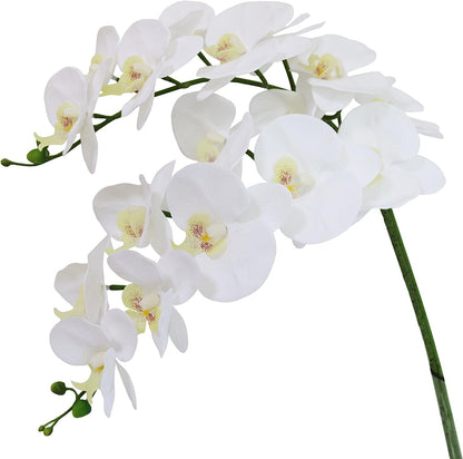 Artificial Phalaenopsis Flowers Branches Real Touch Pack of 2