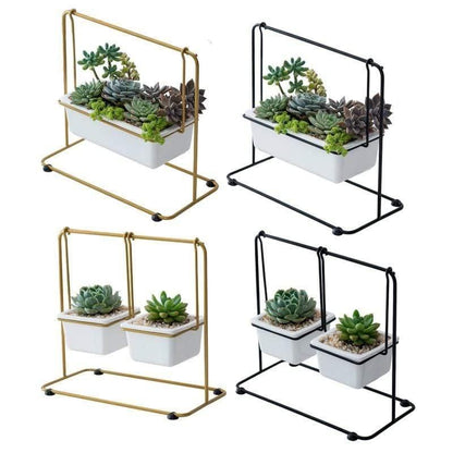 Succulent Swing Planter