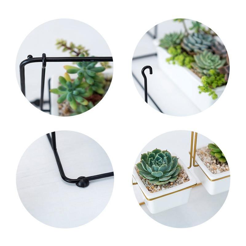 Succulent Swing Planter