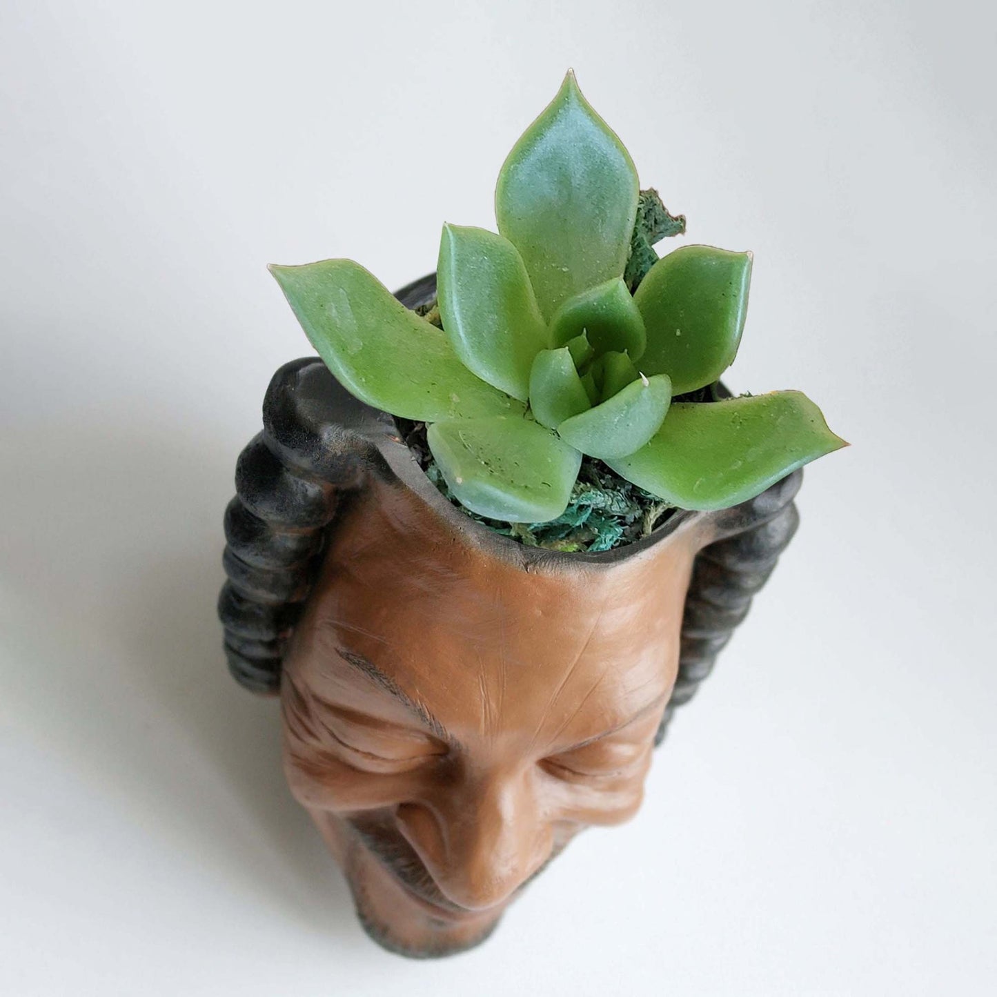 (❤️✨Last Day Promotion - 50%OFF)Pot planter for succulents or houseplants ripping a bong