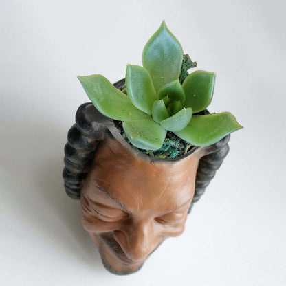 (❤️✨Last Day Promotion - 50%OFF)Pot planter for succulents or houseplants ripping a bong