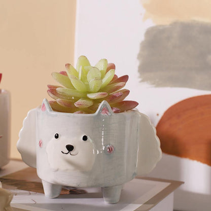 Boxy Animal Ceramic Succulent Planters