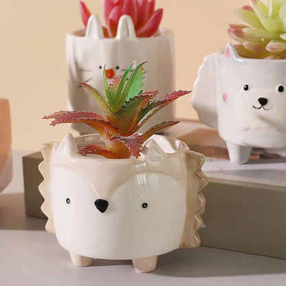 Boxy Animal Ceramic Succulent Planters