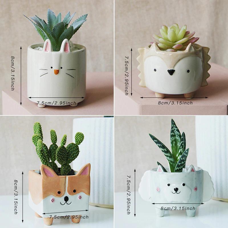 Boxy Animal Ceramic Succulent Planters