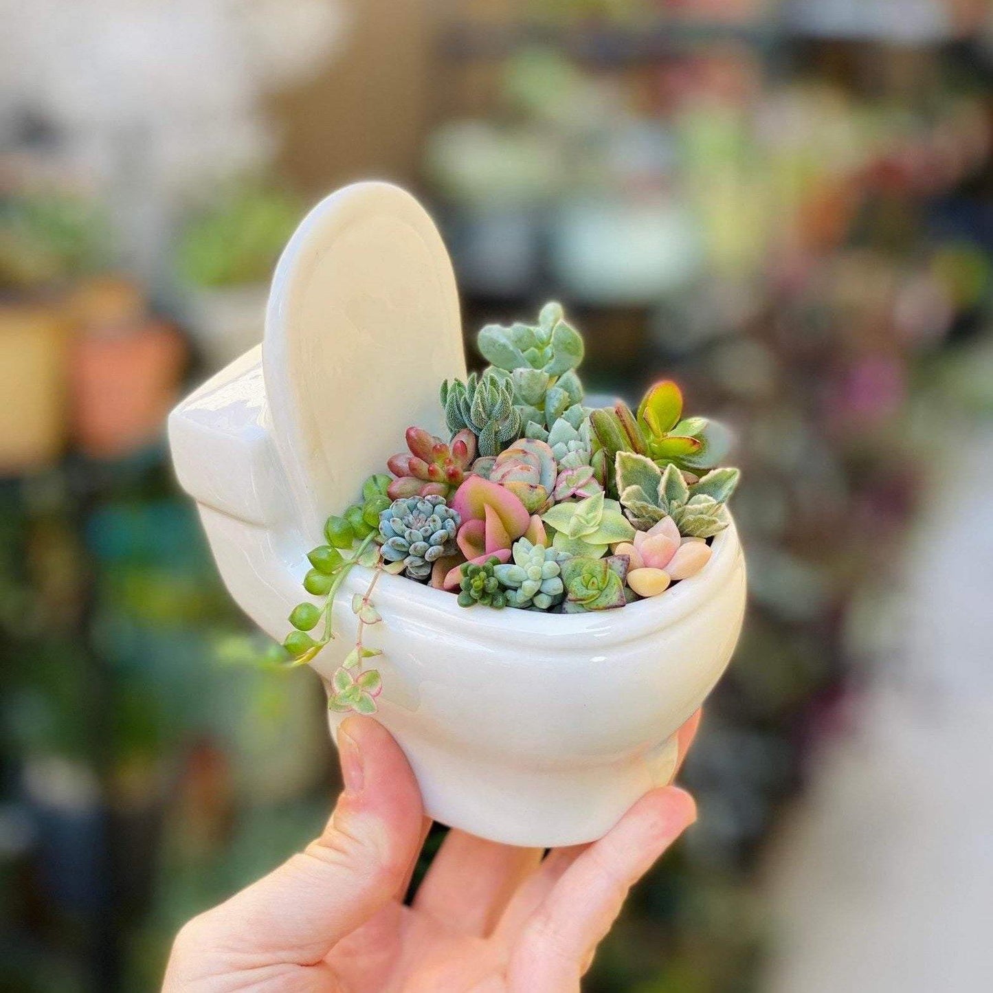 Handmade Ceramic Toilet Succulent Planter