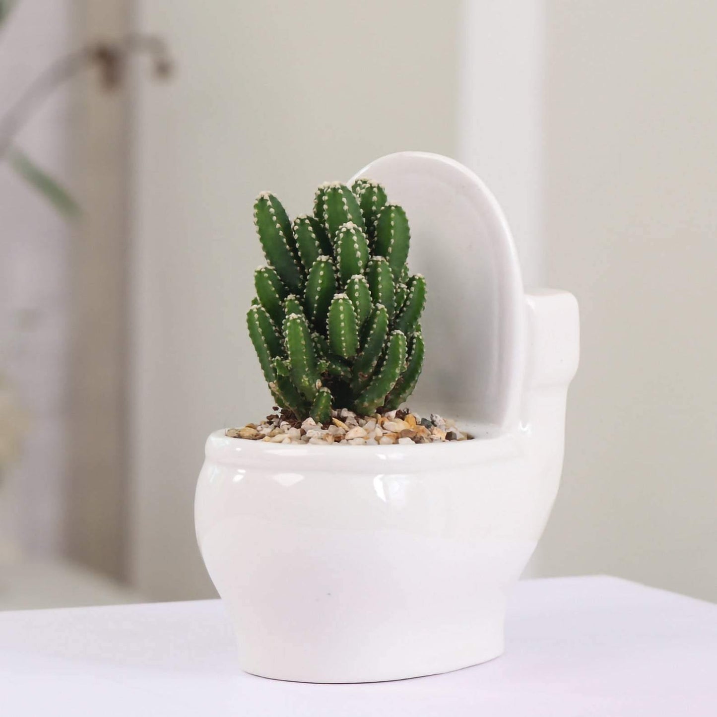 Handmade Ceramic Toilet Succulent Planter