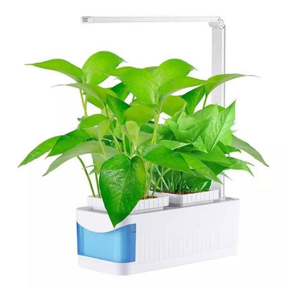 Indoor Herb Garden Hydroponic LED Planter Kit