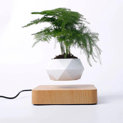 Magnetic Levitating Planter