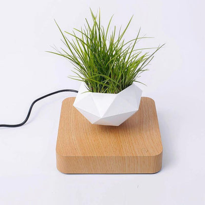 Magnetic Levitating Planter