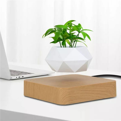 Magnetic Levitating Planter