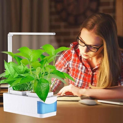 Indoor Herb Garden Hydroponic LED Planter Kit