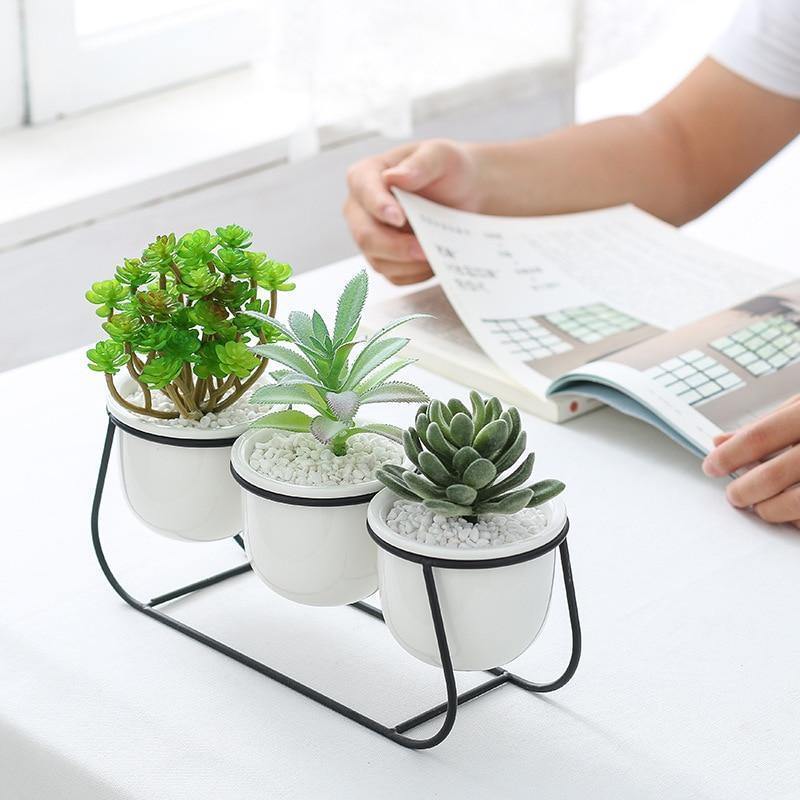 White Ceramic Succulent Planter Trio with Metal Sleigh Stand