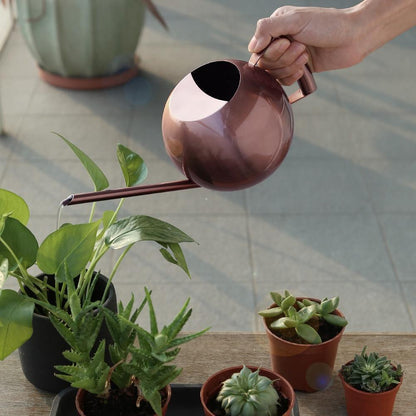 Spherical Gooseneck Stainless Steel Watering Can