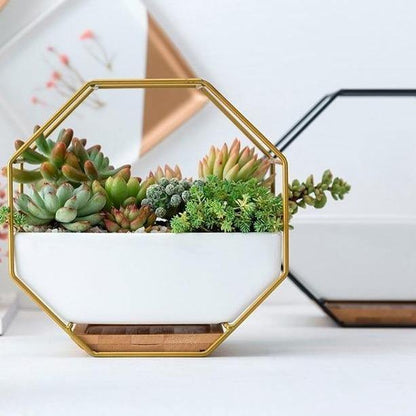 Geometric Ceramic Wall Planter with Octagonal Iron Frame