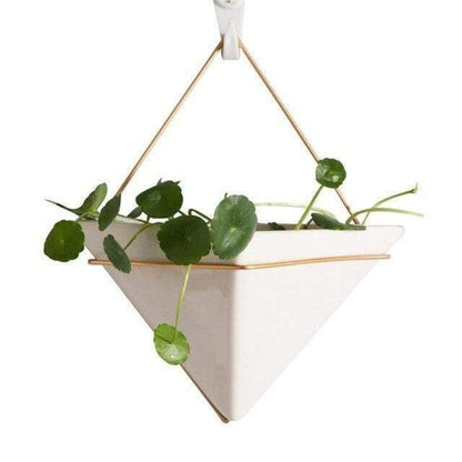 Geometric Hanging Terrarium