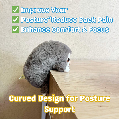 Posture Pal ®