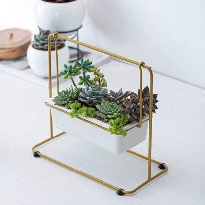 Succulent Swing Planter